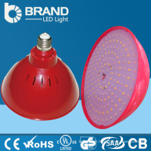 Fournisseur de Chine porte-lampe E27